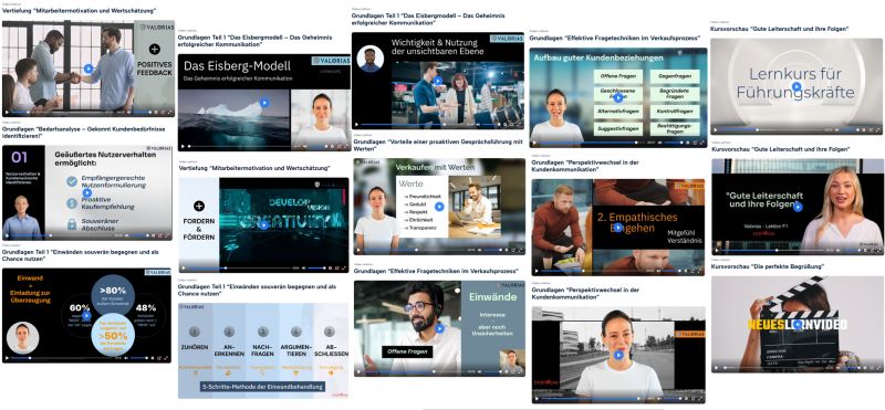 Vertriebsschulung online - Valorias digitale Lernplattform für wertebasiertes Wachstum