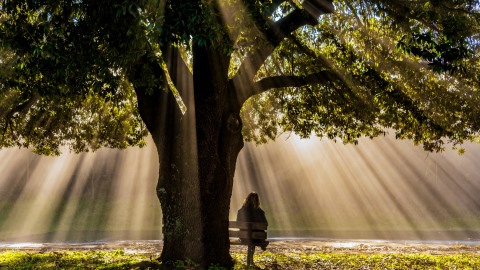 Leben mit Sinn: Was zählt, wenn Karrieredruck verblasst