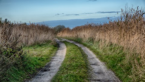 Vertrauen lernen – Warum Loslassen der richtige Weg ist